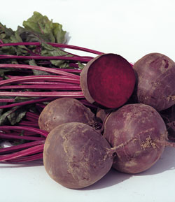 beetroot